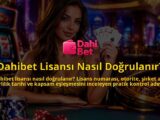 Dahibet-Lisansi-Nasil-Dogrulanir-overlay-1790040928.jpg